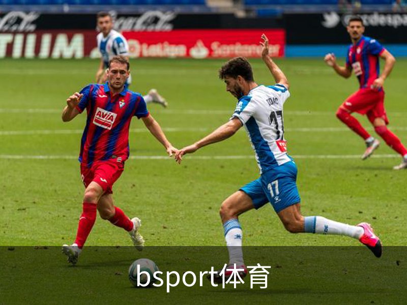 bsport体育概况